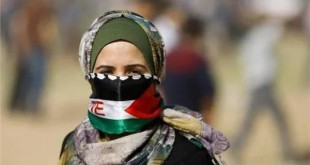 فالسي