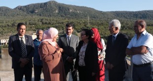تنانتهونس